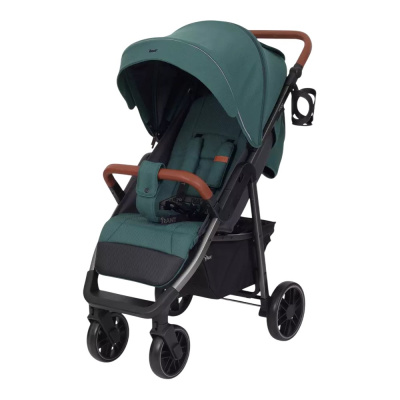 Коляска прогулочная Rant Vega RA057 Green 01